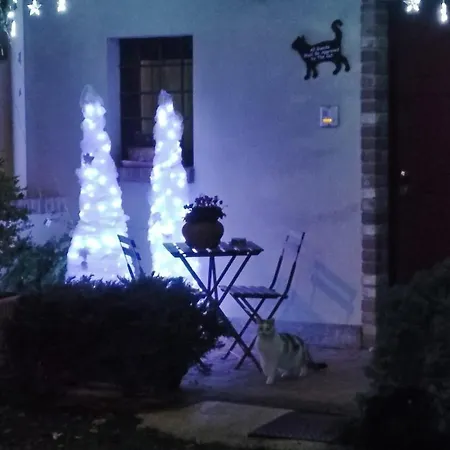 Casa Mamari شقة *